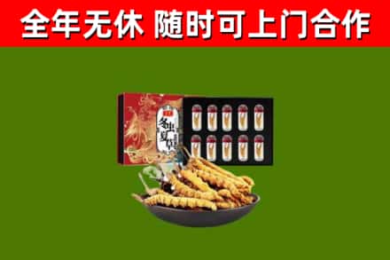 张店区回收冬虫夏草价格
